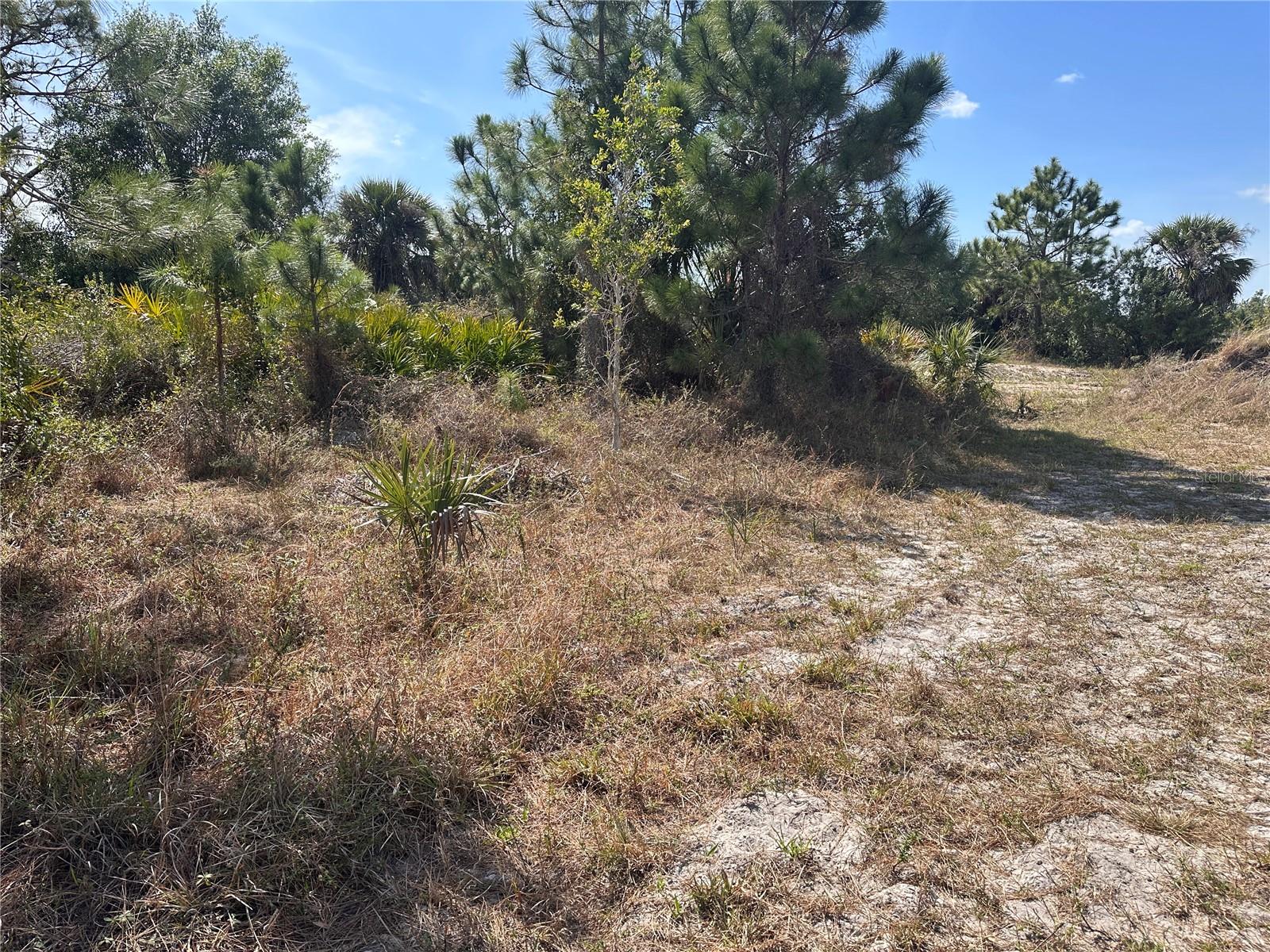 2817 56th Street, FL