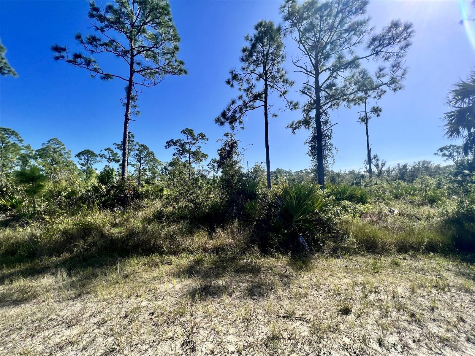 13238 Cannes Drive, FL