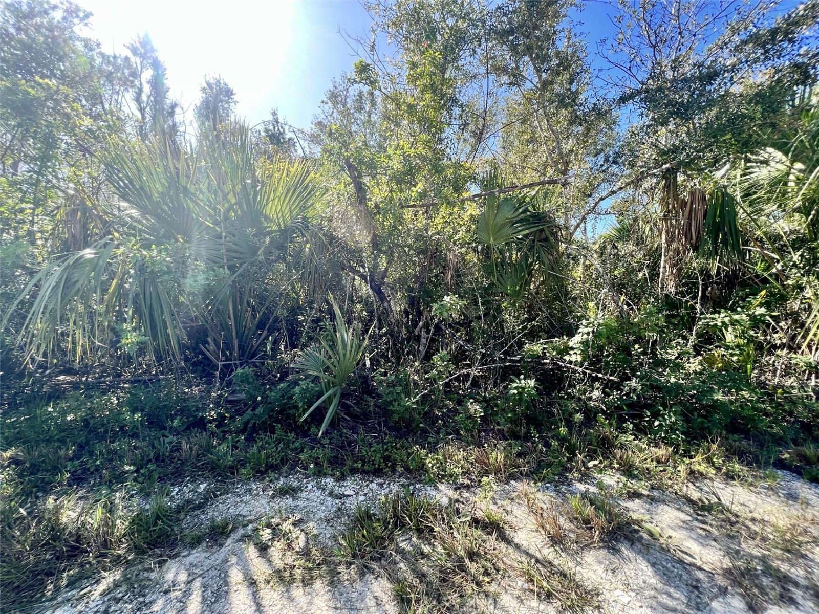 27275 Las Lomas Drive, FL