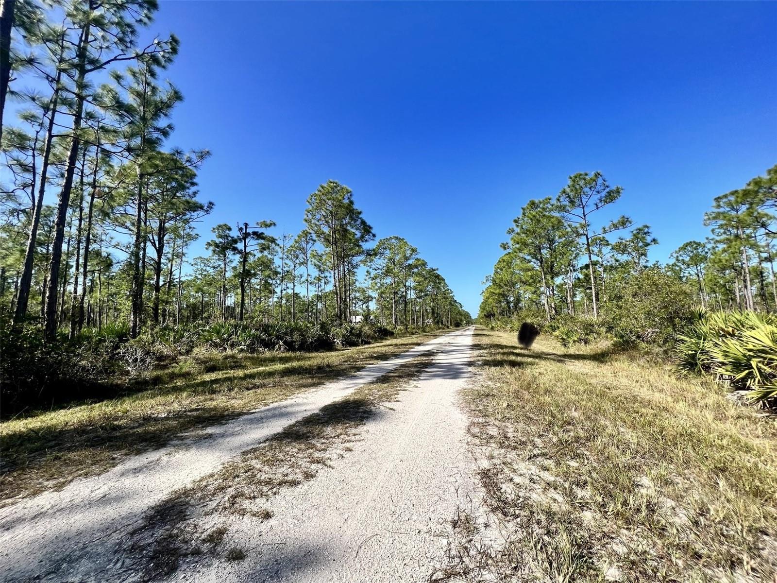 28060 Argyle Drive, FL