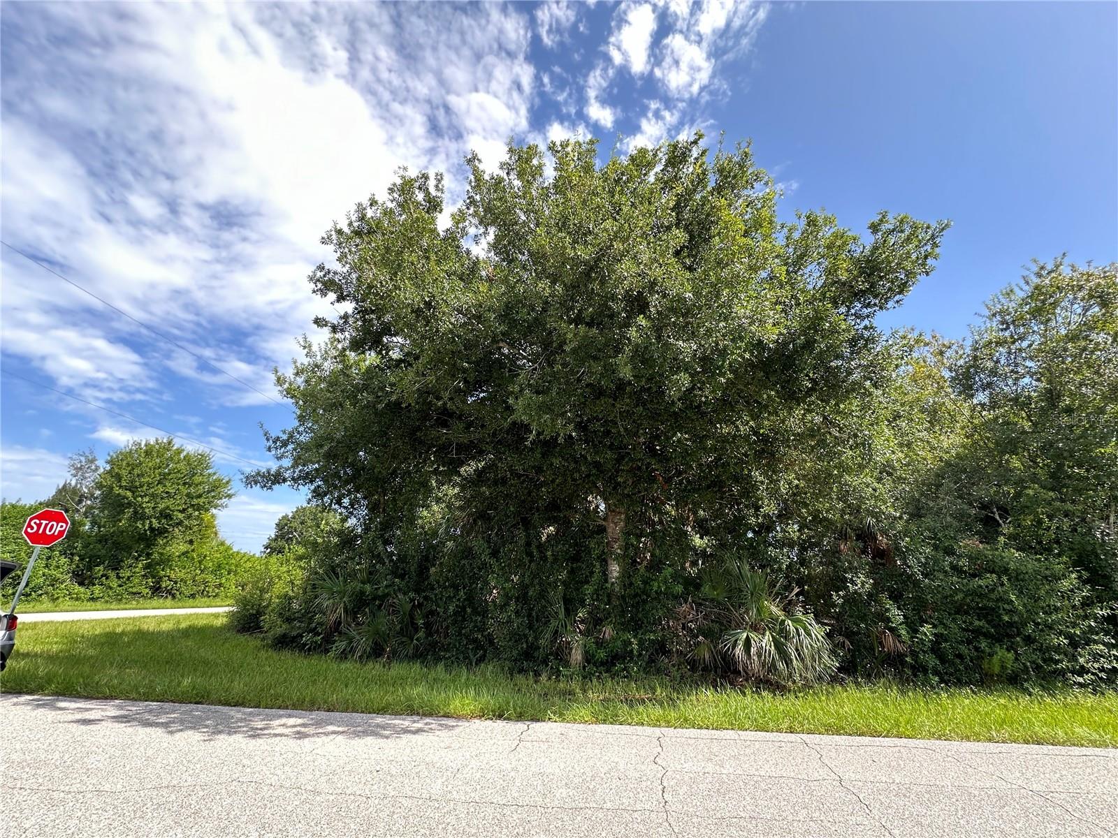 12088 Henley Avenue, FL