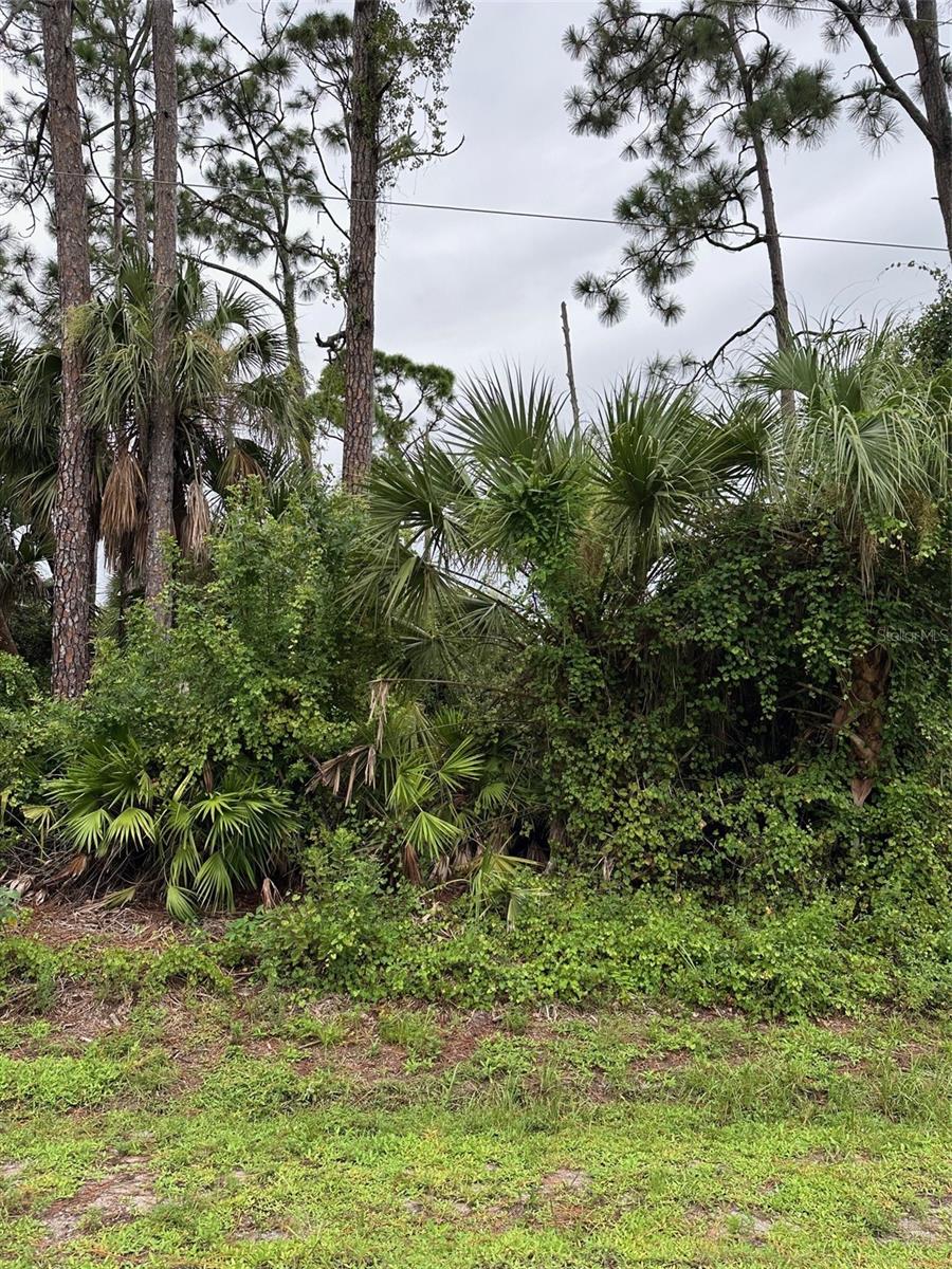 PORT CHARLOTTE, FL