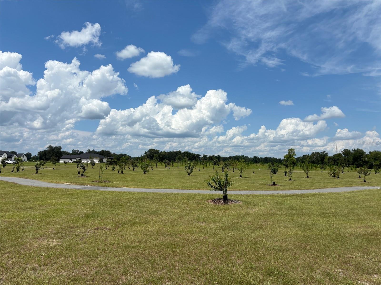 5890 124th Way, FL