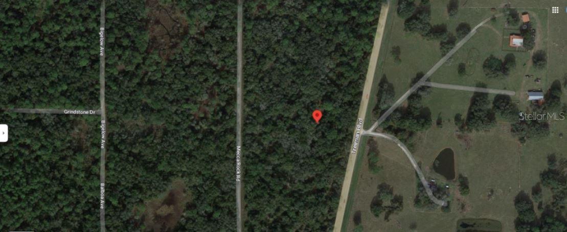 Treiman Boulevard, FL