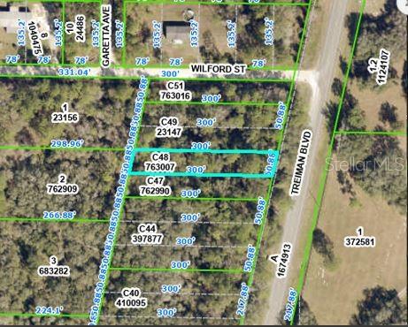 Treiman Boulevard, FL