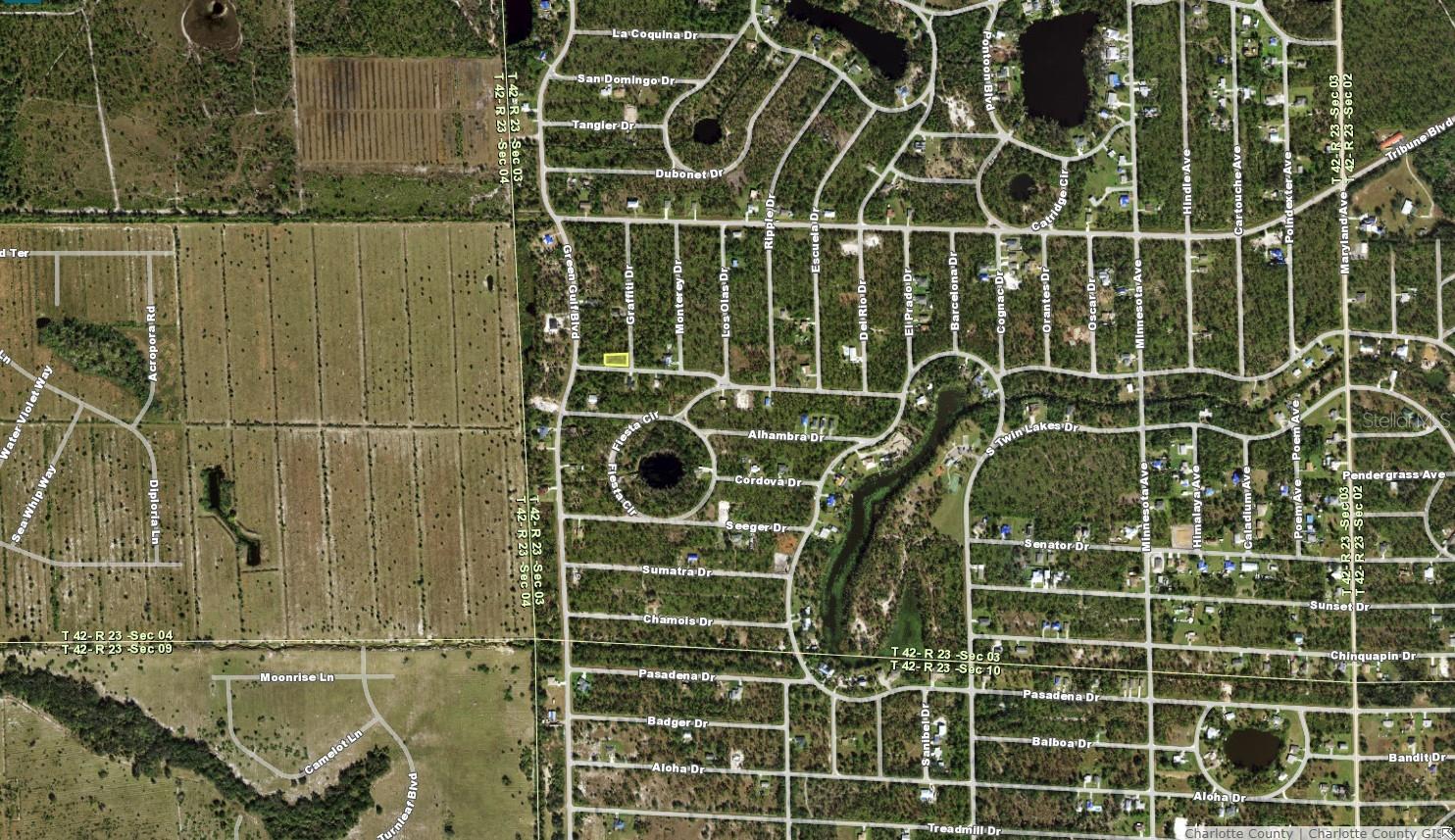 12355 Graffiti Drive, FL