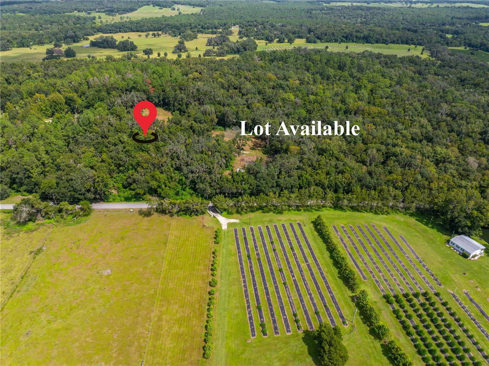Whitman Road, FL