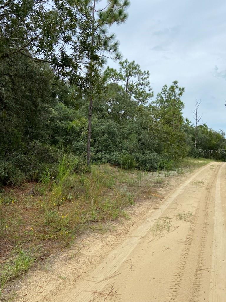318 Crestview Avenue, FL