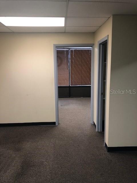 7211 Dale Mabry Highway, FL