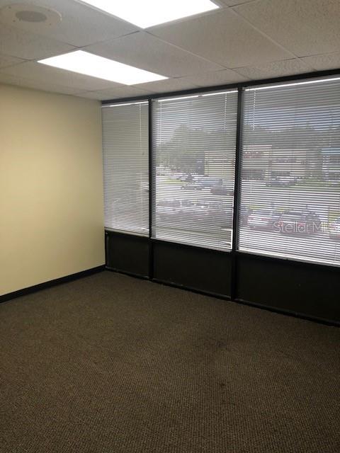 7211 Dale Mabry Highway, FL