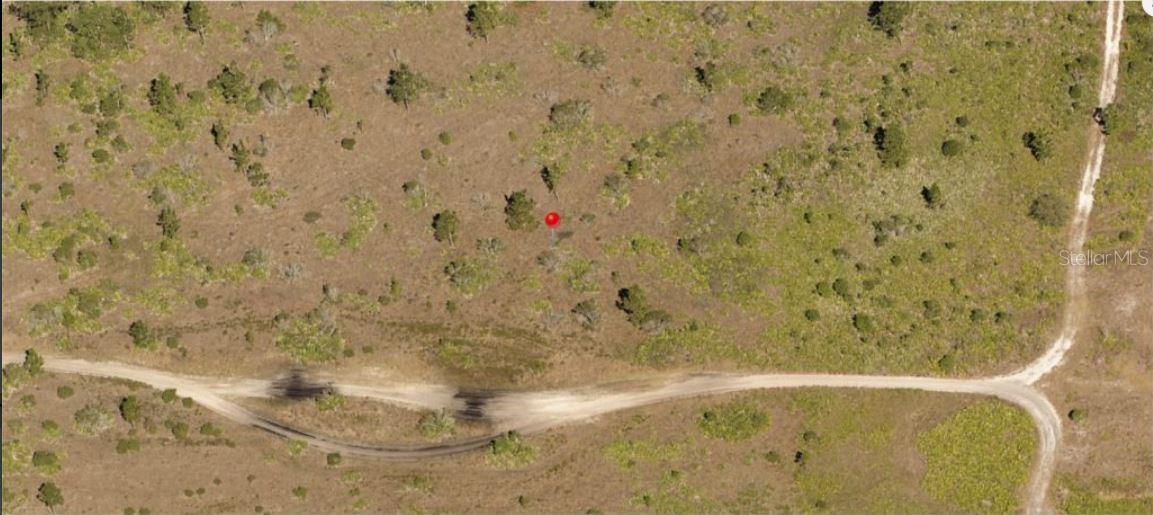 Holopaw Groves Road, FL