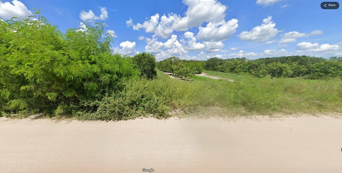 Holopaw Groves Road, FL