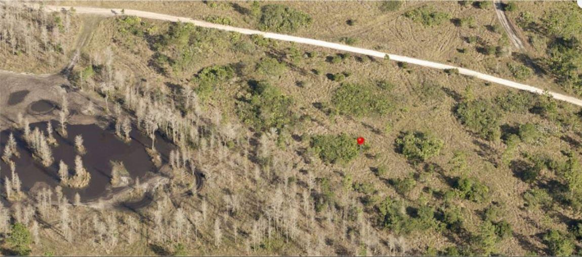 Holopaw Groves Road, FL