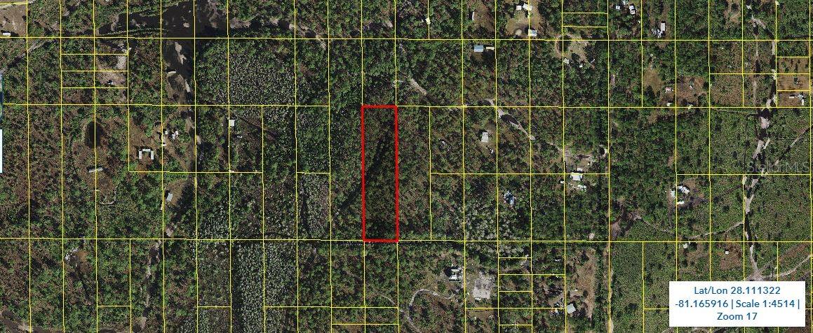 Holopaw Groves Road, FL