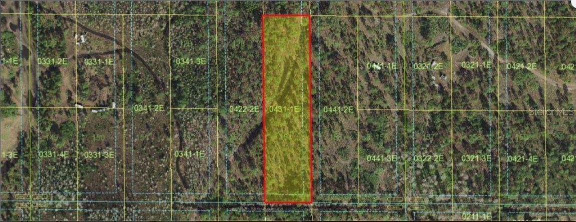 Holopaw Groves Road, FL