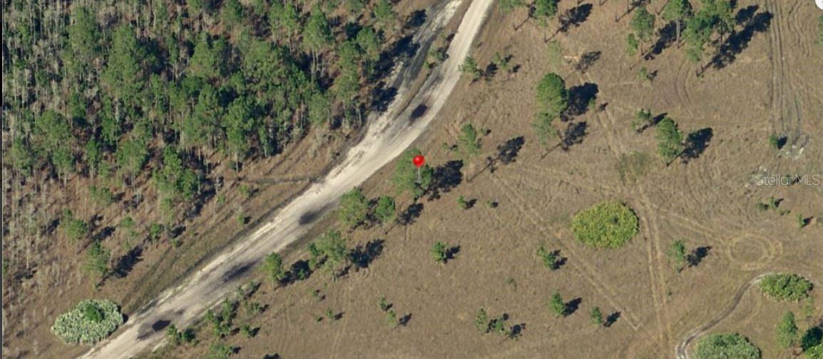 Holopaw Groves Road, FL