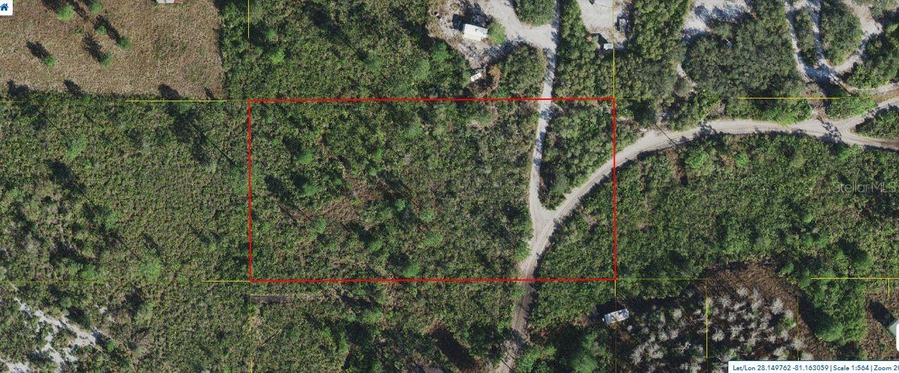 Holopaw Groves Road, FL