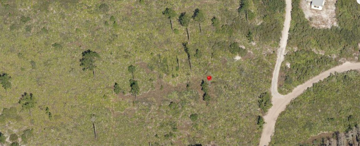 Holopaw Groves Road, FL