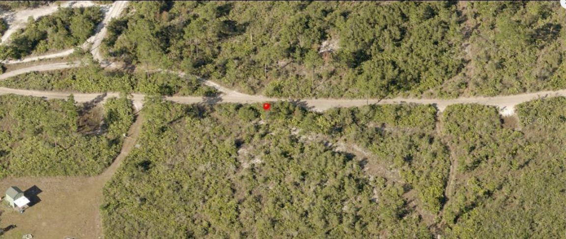 Holopaw Groves Road, FL