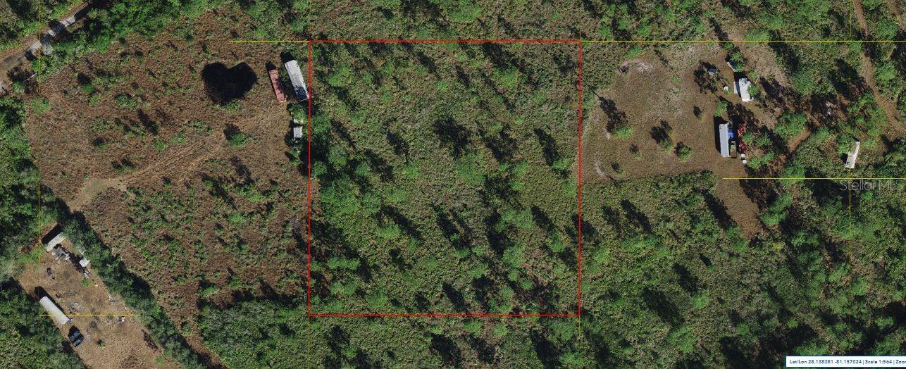 Holopaw Groves Road, FL