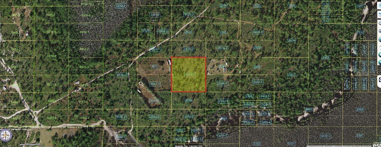 Holopaw Groves Road, FL