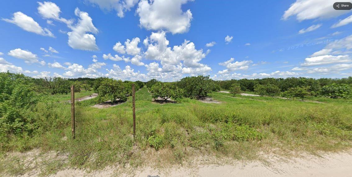 Holopaw Groves Road, FL