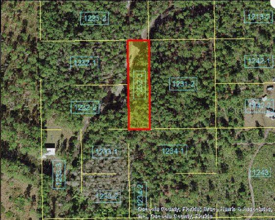 Holopaw Groves Road, FL