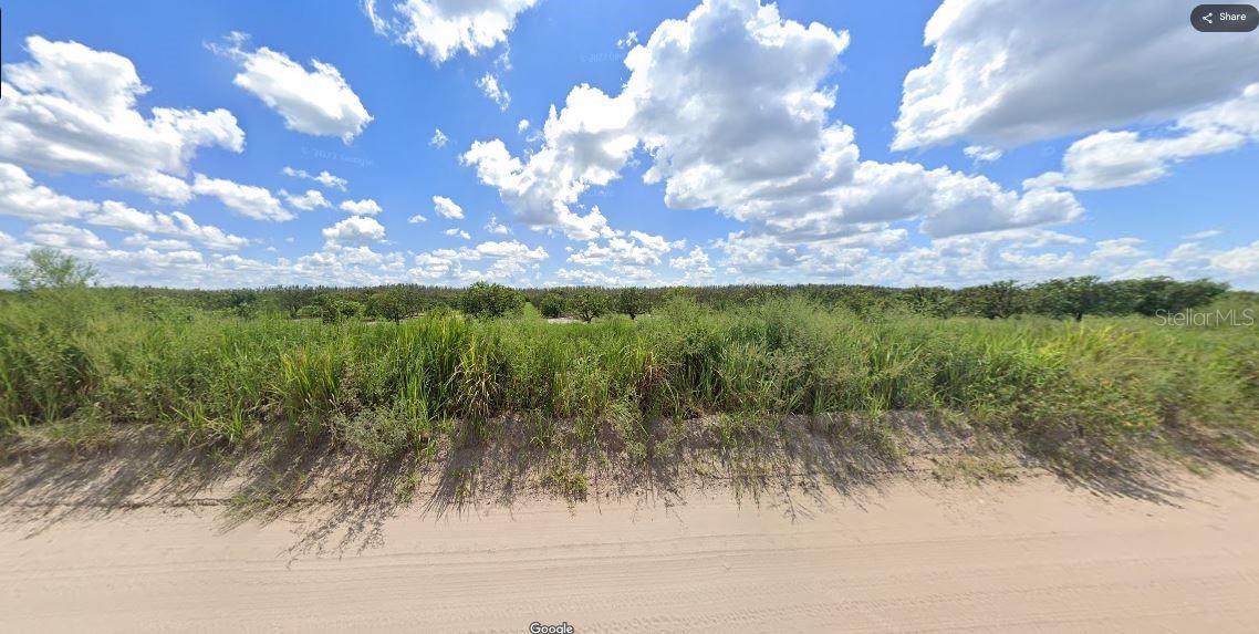 Holopaw Groves Road, FL