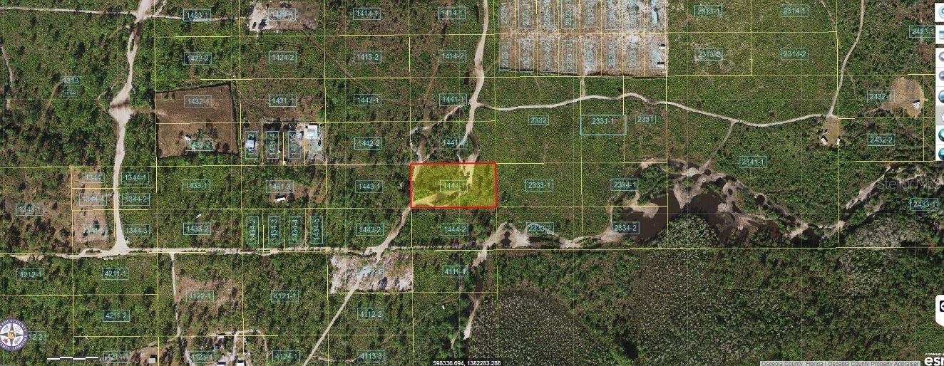 Holopaw Groves Road, FL