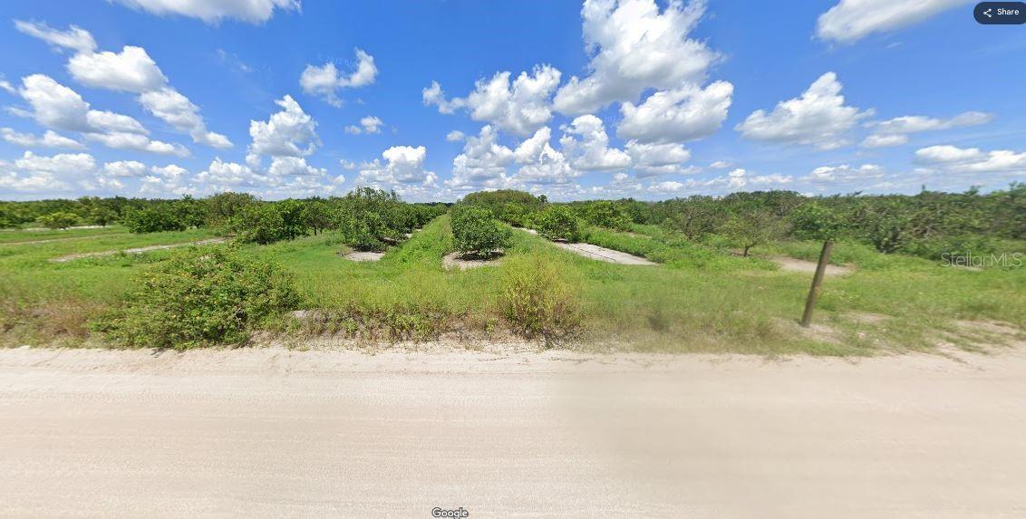 Holopaw Groves Road, FL