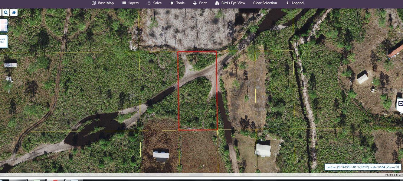 Holopaw Groves Road, FL