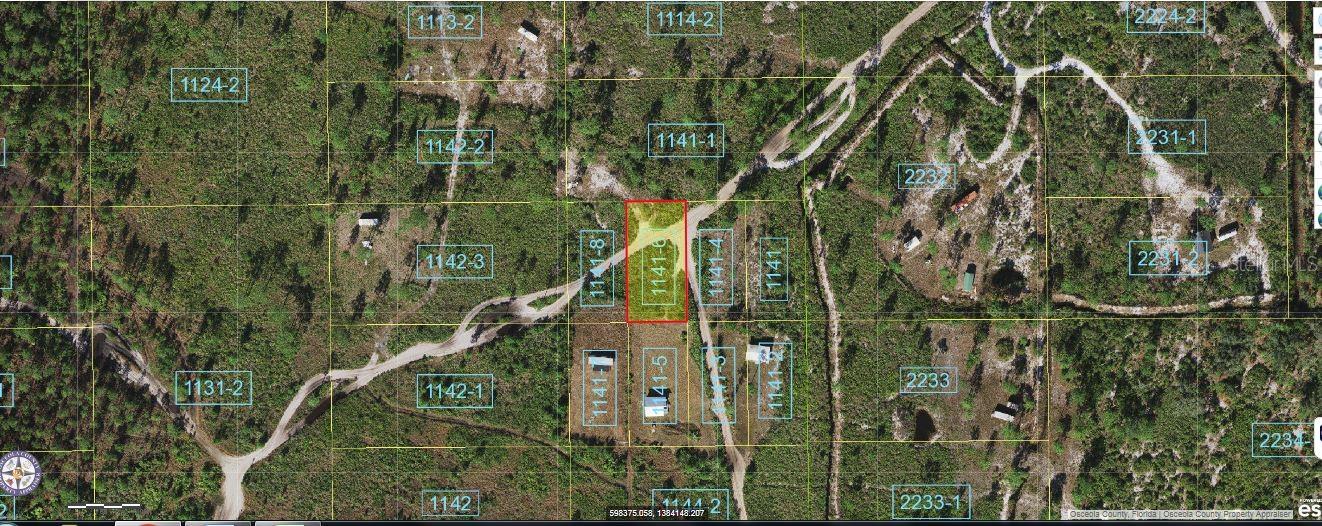 Holopaw Groves Road, FL