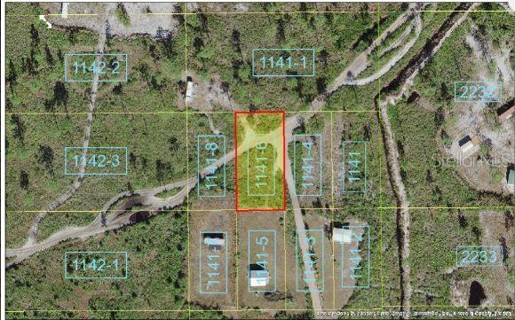 Holopaw Groves Road, FL