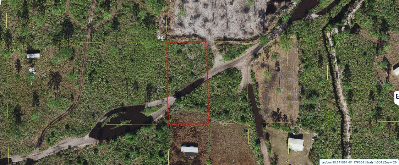 Holopaw Groves Road, FL