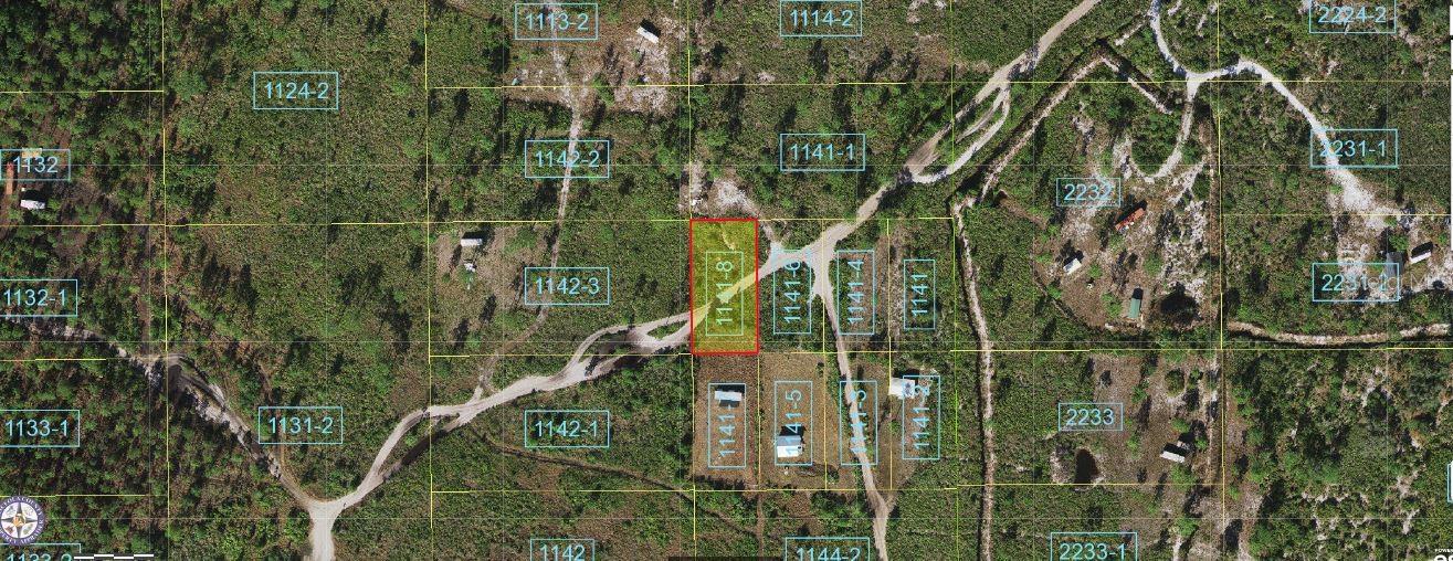 Holopaw Groves Road, FL