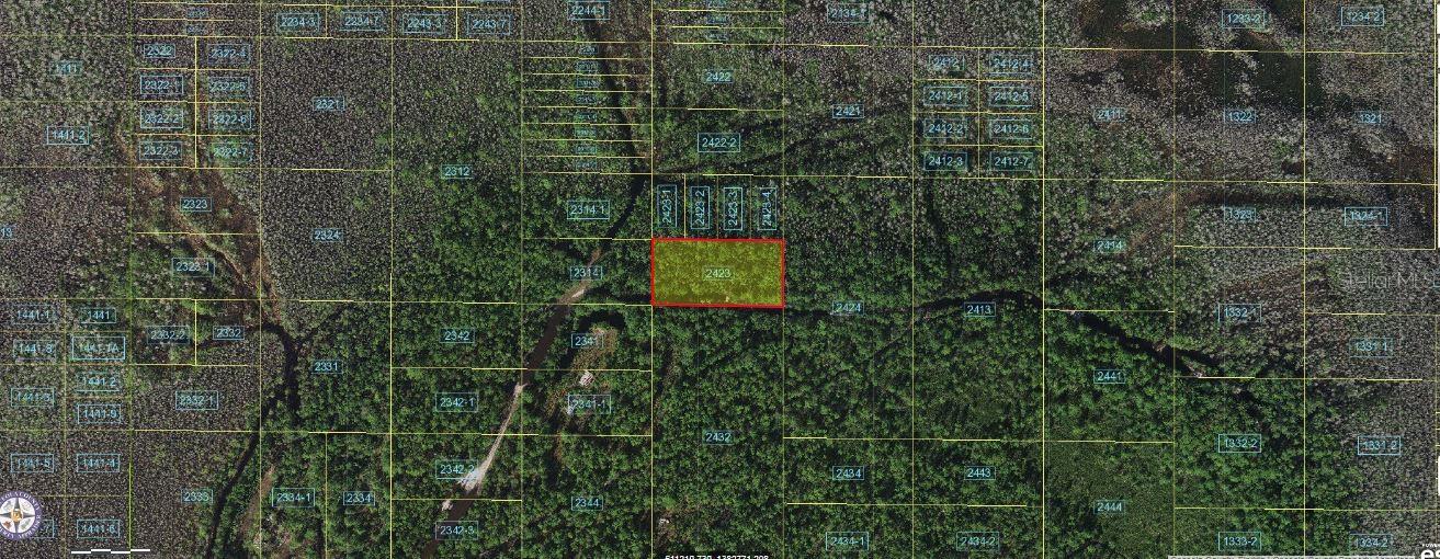 Holopaw Groves Road, FL
