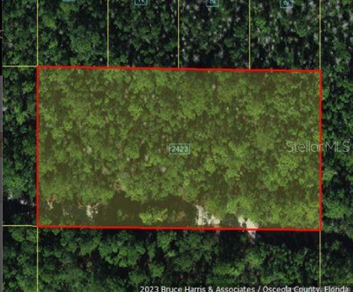 Holopaw Groves Road, FL