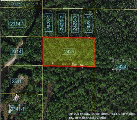 Holopaw Groves Road, FL