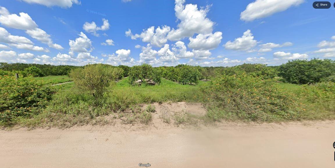 Holopaw Groves Road, FL