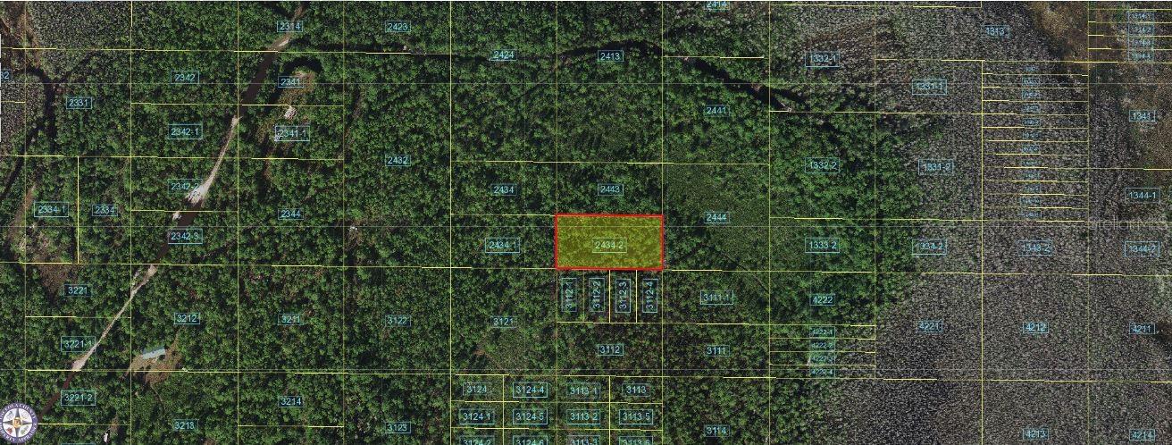 Holopaw Groves Road, FL