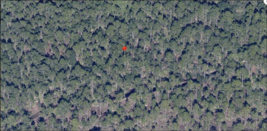 Holopaw Groves Road, FL