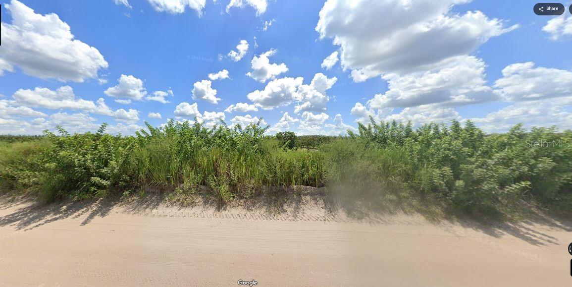 Holopaw Groves Road, FL