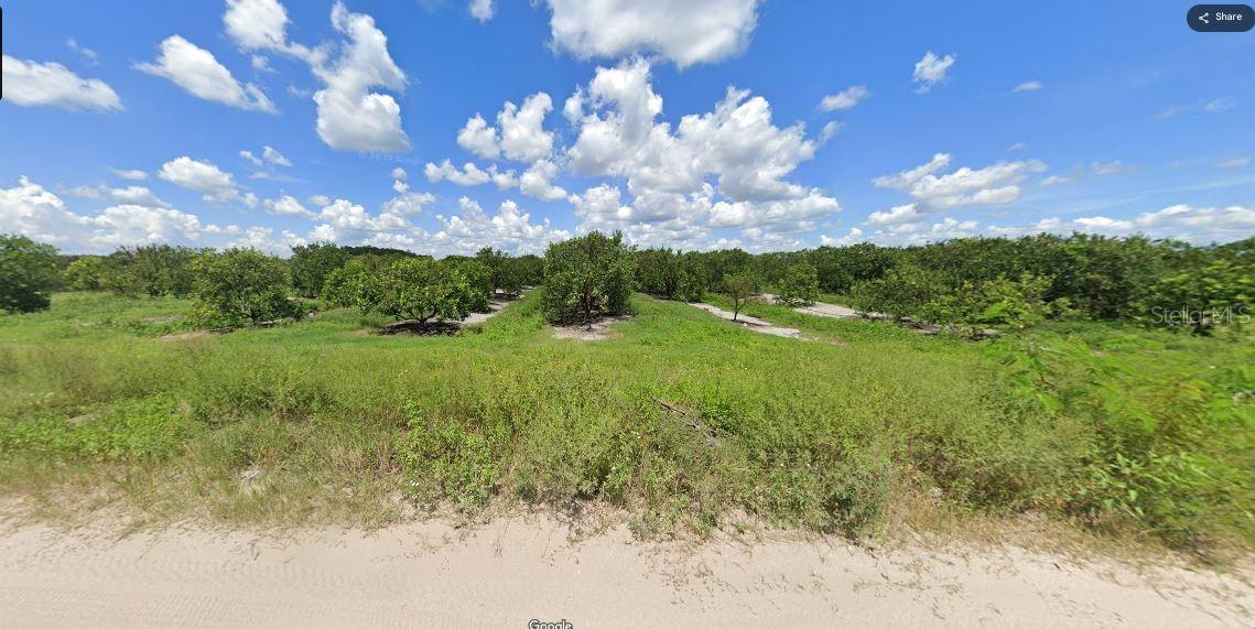 Holopaw Groves Road, FL