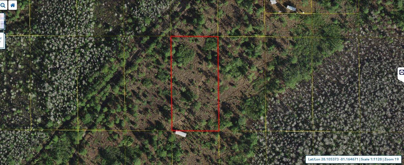 Holopaw Groves Road, FL