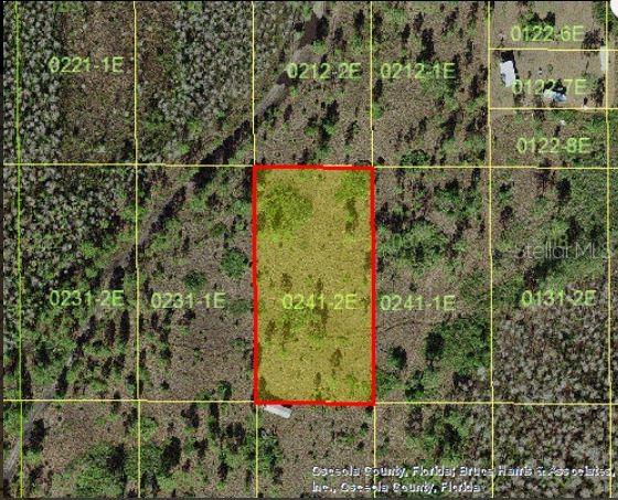 Holopaw Groves Road, FL