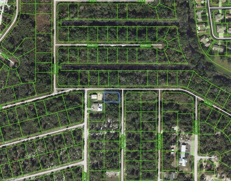 1218 Ailanthus Street, FL