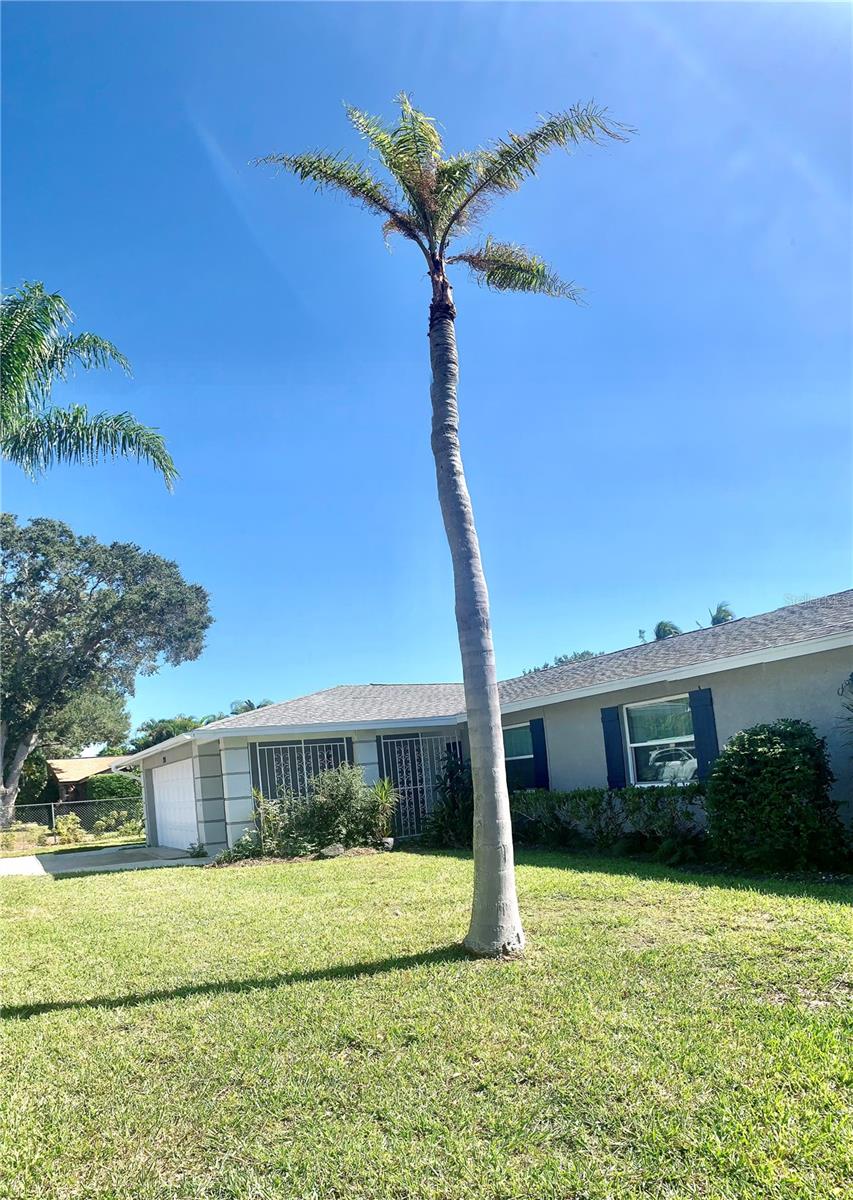 1714 Meadowood Street, FL