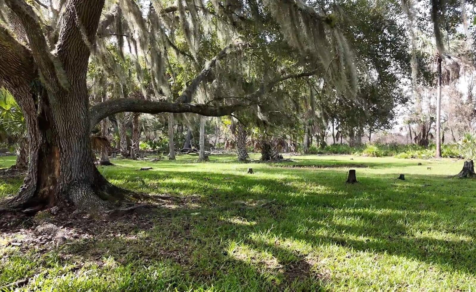 ARCADIA, FL — Land
