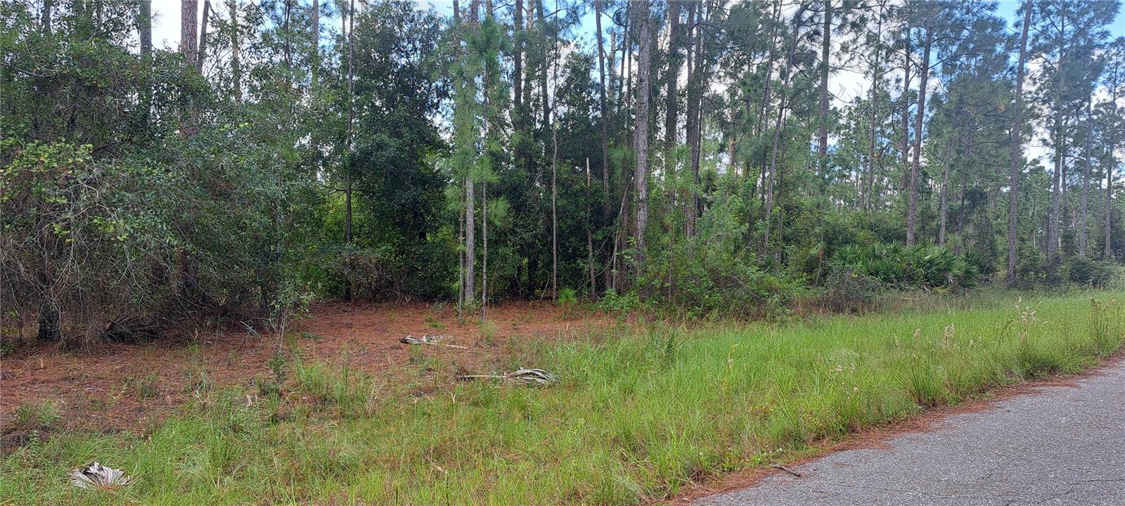 3800 13th Street, FL