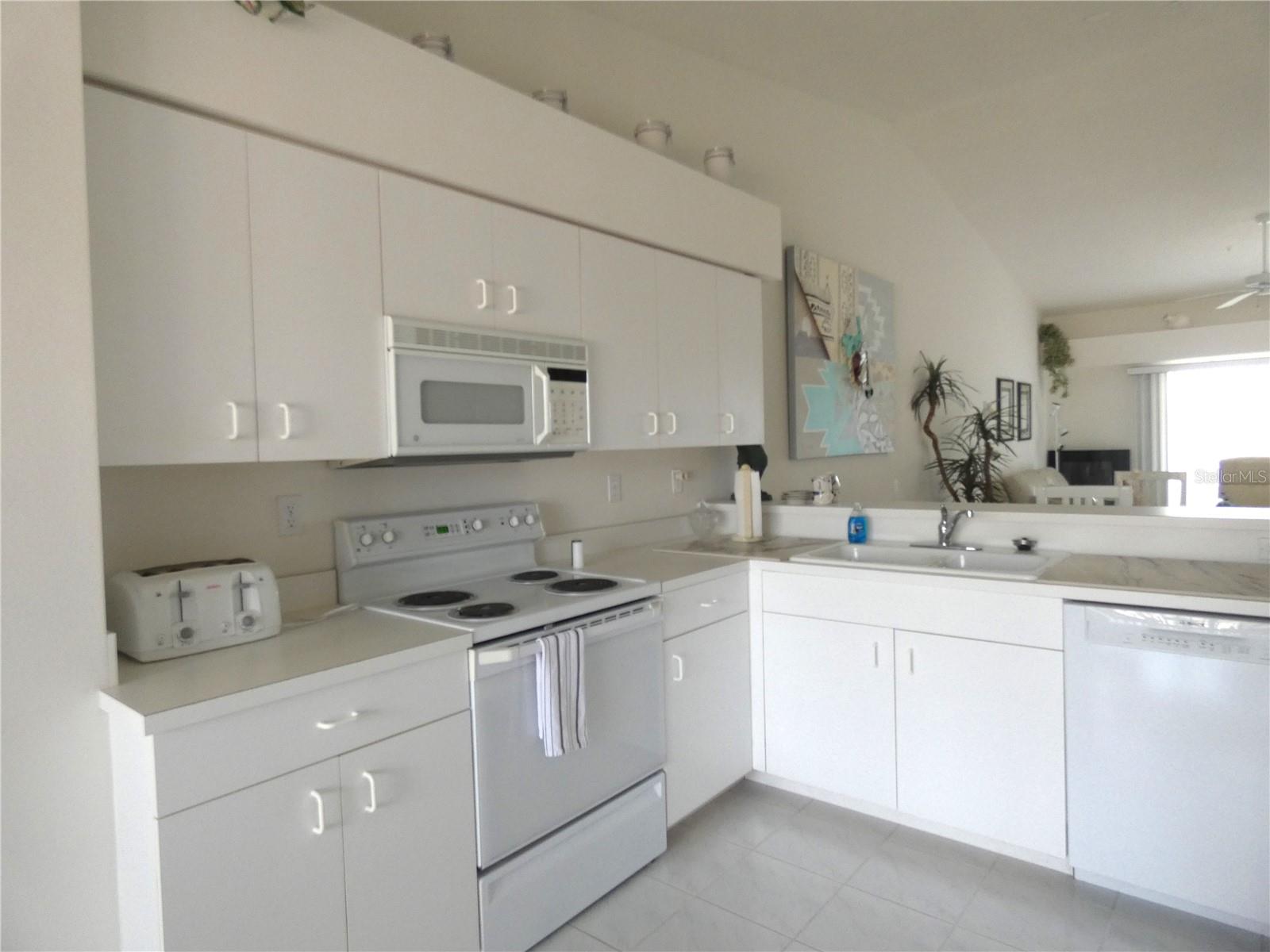 9641 Castle Point Drive, FL